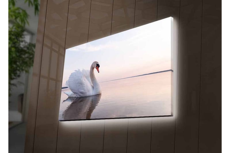 Lerretsbilde med LED-belysning - Svart svane som svømmer i stille vann - Hvit / Grå / Lys blå - Innredning - Bilder & kunst - Lerretsbilder