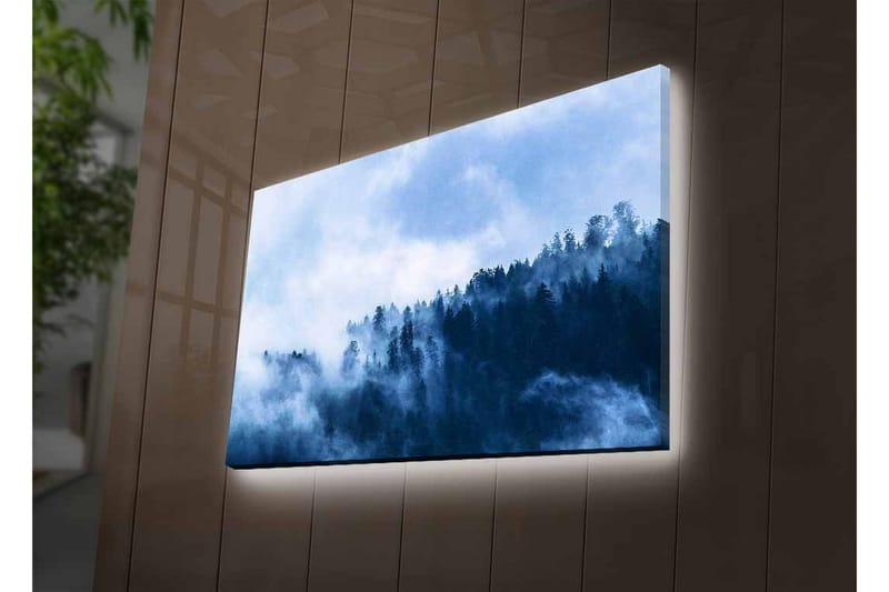 Lerretsbilde med LED-belysning - Tåke som feier over en skog av høye trær - Mørk blå / Lys blå / Grå - Innredning - Bilder & kunst - Lerretsbilder