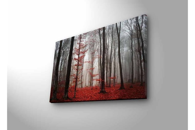 Lerretsbilde med LED-belysning - Tåkete skog med røde blader og høye trær - Rød / Grå / Svart - Innredning - Bilder & kunst - Lerretsbilder