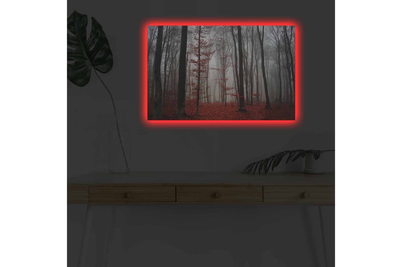 Lerretsbilde med LED-belysning - Tåkete skog med røde blader og høye trær - Rød / Grå / Svart - Innredning - Bilder & kunst - Lerretsbilder