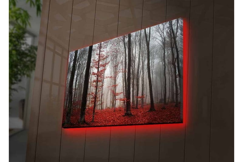 Lerretsbilde med LED-belysning - Tåkete skog med røde blader og høye trær - Rød / Grå / Svart - Innredning - Bilder & kunst - Lerretsbilder