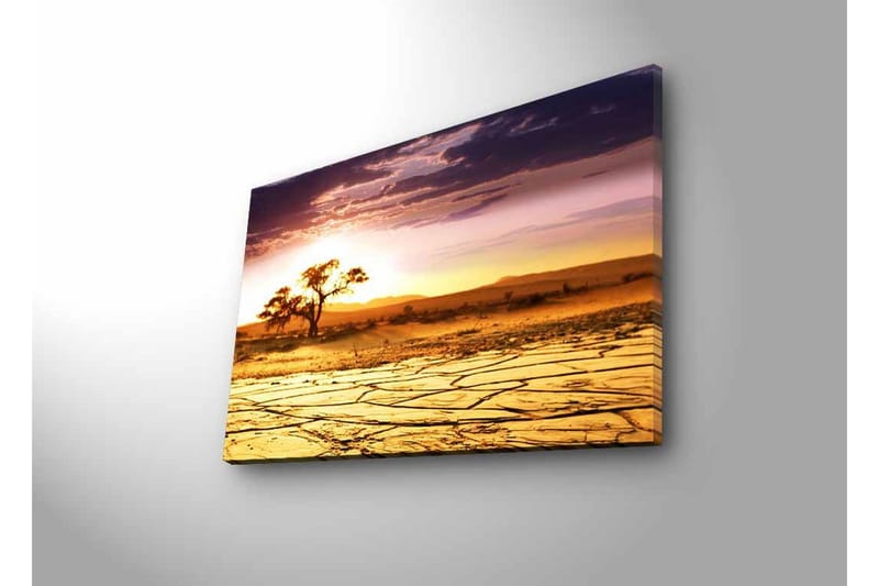 Lerretsbilde med LED-belysning - Tørket landskap med et ensomt akasietre ved solnedgang - Gull / Lilla / Oransje - Innredning - Bilder & kunst - Lerretsbilder