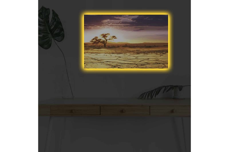 Lerretsbilde med LED-belysning - Tørket landskap med et ensomt akasietre ved solnedgang - Gull / Lilla / Oransje - Innredning - Bilder & kunst - Lerretsbilder
