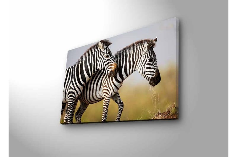 Lerretsbilde med LED-belysning - To sebraer som står tett sammen i et naturlig miljø - Svart / Hvit / Beige - Innredning - Bilder & kunst - Lerretsbilder