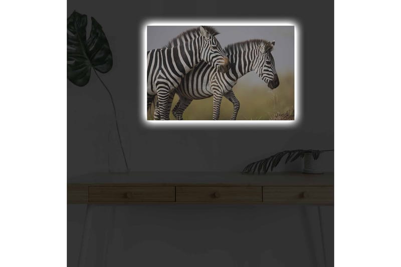 Lerretsbilde med LED-belysning - To sebraer som står tett sammen i et naturlig miljø - Svart / Hvit / Beige - Innredning - Bilder & kunst - Lerretsbilder