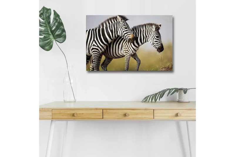 Lerretsbilde med LED-belysning - To sebraer som står tett sammen i et naturlig miljø, Svart / Hvit / Beige