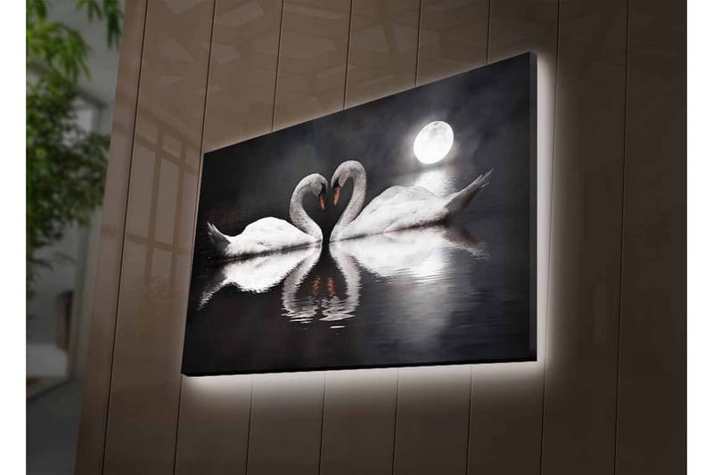 Lerretsbilde med LED-belysning - To svaner som danner et hjerte i en speillignende innsjø under en måne - Hvit / Svart / Grå - Innredning - Bilder & kunst - Lerretsbilder