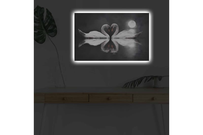 Lerretsbilde med LED-belysning - To svaner som danner et hjerte i en speillignende innsjø under en måne - Hvit / Svart / Grå - Innredning - Bilder & kunst - Lerretsbilder