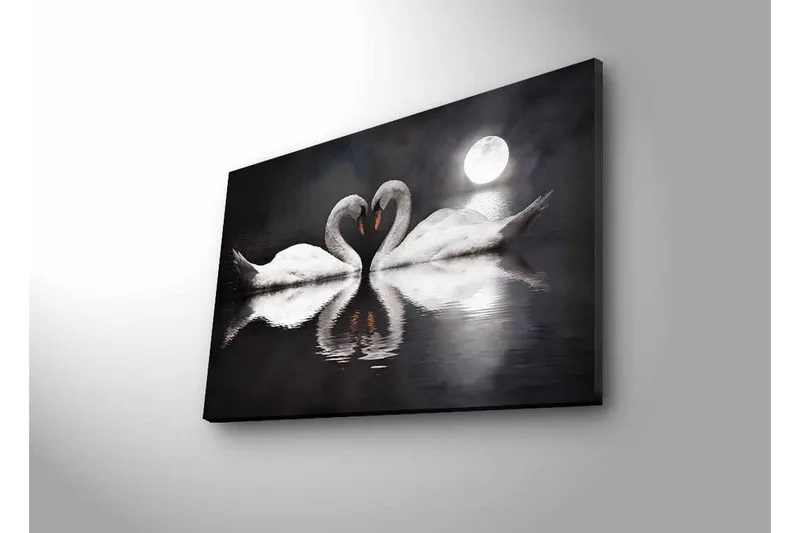 Lerretsbilde med LED-belysning - To svaner som danner et hjerte i en speillignende innsjø under en måne - Hvit / Svart / Grå - Innredning - Bilder & kunst - Lerretsbilder