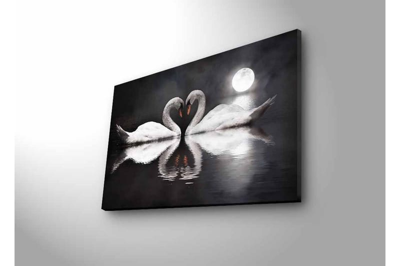 Lerretsbilde med LED-belysning - To svaner som danner et hjerte i en speillignende innsjø under en måne - Hvit / Svart / Grå - Innredning - Bilder & kunst - Lerretsbilder