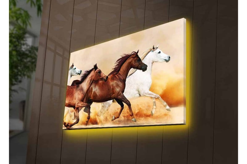 Lerretsbilde med LED-belysning - Tre hester i bevegelse over en sandoverflate - Brun / Hvit / Beige - Innredning - Bilder & kunst - Lerretsbilder