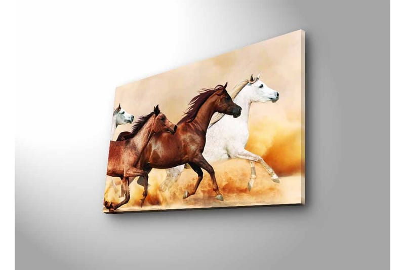 Lerretsbilde med LED-belysning - Tre hester i bevegelse over en sandoverflate - Brun / Hvit / Beige - Innredning - Bilder & kunst - Lerretsbilder