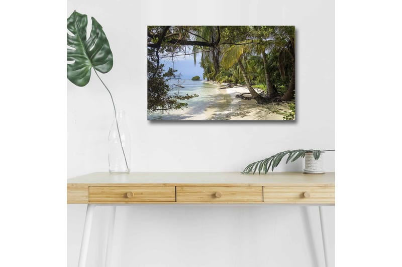 Lerretsbilde med LED-belysning - Tropisk strand med palmer og klart vann - Grønn / Blå / Beige - Innredning - Bilder & kunst - Lerretsbilder