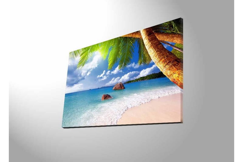 Lerretsbilde med LED-belysning - Tropisk strand med palmer og klart blått hav - Blå / Grønn / Beige - Innredning - Bilder & kunst - Lerretsbilder