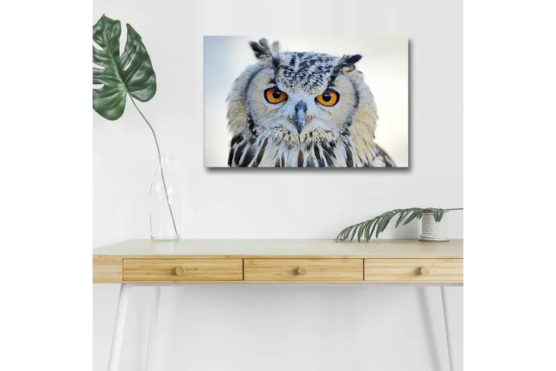 Lerretsbilde med LED-belysning - Ugle med intense øyne og detaljert fjærdrakt, Grå / Oransje / Hvit