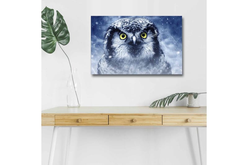 Lerretsbilde med LED-belysning - Ugle med snødekte detaljer og intense øyne, Blå / Hvit / Gul