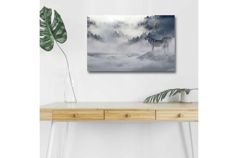 Lerretsbilde med LED-belysning - Ulv i tåkete skogsmiljø, Grå / Blå / Hvit