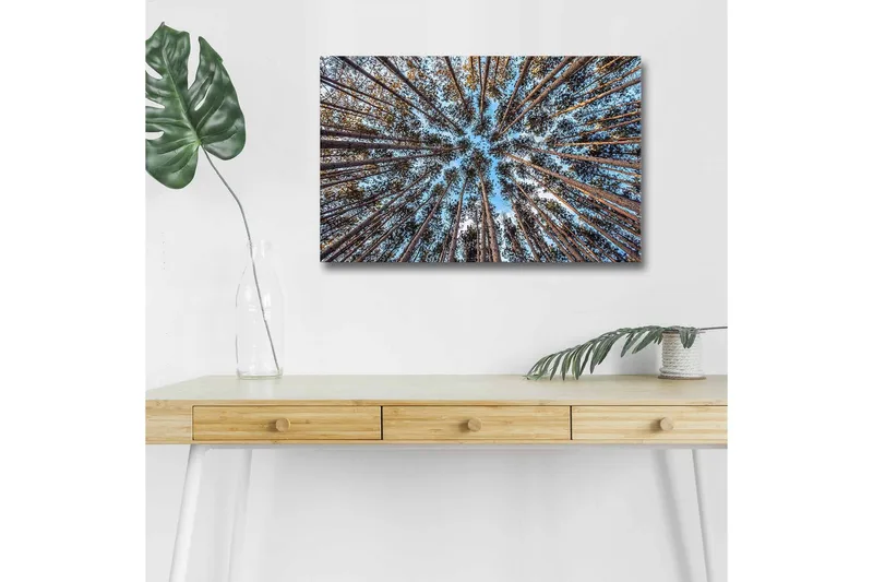 Lerretsbilde med LED-belysning - Utsikt oppover gjennom tretoppene i en skog - Blå / Brun / Grønn - Innredning - Bilder & kunst - Lerretsbilder