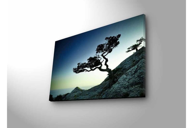 Lerretsbilde med LED-belysning - Vakker silhuett av et forblåst tre på en klippe i skumringen - Mørkegrønn / Blå / Lysegrønn - Innredning - Bilder & kunst - Lerretsbilder