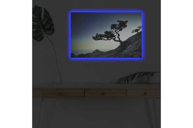 Lerretsbilde med LED-belysning - Vakker silhuett av et forblåst tre på en klippe i skumringen - Mørkegrønn / Blå / Lysegrønn - Innredning - Bilder & kunst - Lerretsbilder