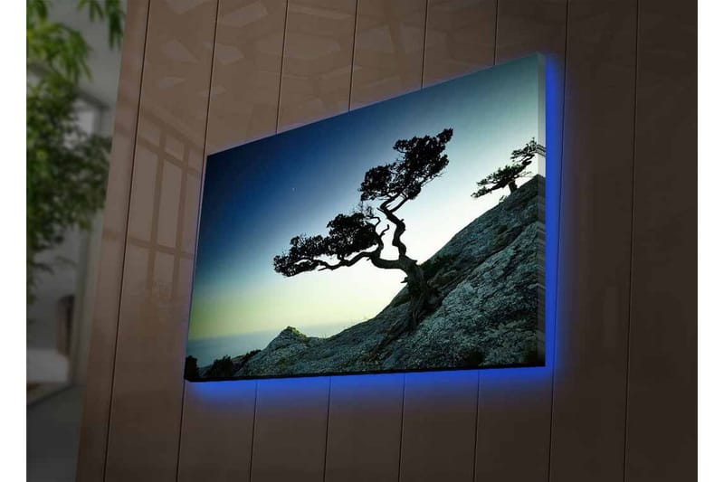 Lerretsbilde med LED-belysning - Vakker silhuett av et forblåst tre på en klippe i skumringen - Mørkegrønn / Blå / Lysegrønn - Innredning - Bilder & kunst - Lerretsbilder