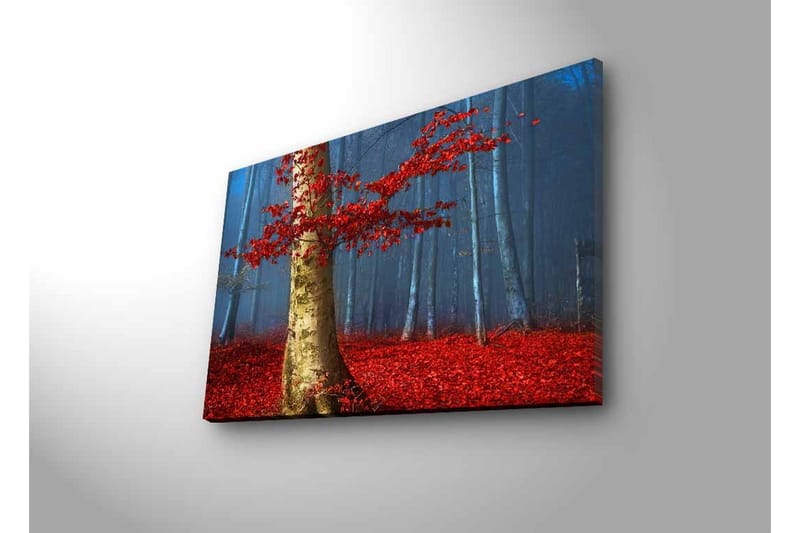 Lerretsbilde med LED-belysning - Vakker skog med røde høstblader og en lys stamme i tåken - Rød / Grønn / Blå - Innredning - Bilder & kunst - Lerretsbilder