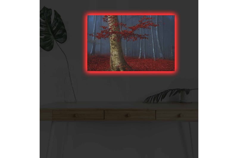 Lerretsbilde med LED-belysning - Vakker skog med røde høstblader og en lys stamme i tåken - Rød / Grønn / Blå - Innredning - Bilder & kunst - Lerretsbilder