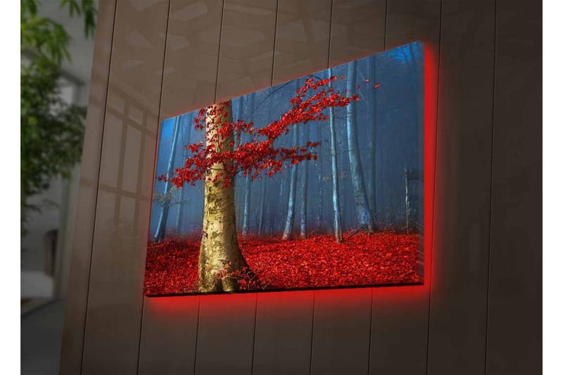 Lerretsbilde med LED-belysning - Vakker skog med røde høstblader og en lys stamme i tåken - Rød / Grønn / Blå - Innredning - Bilder & kunst - Lerretsbilder
