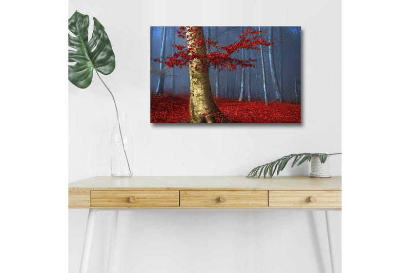 Lerretsbilde med LED-belysning - Vakker skog med røde høstblader og en lys stamme i tåken - Rød / Grønn / Blå - Innredning - Bilder & kunst - Lerretsbilder