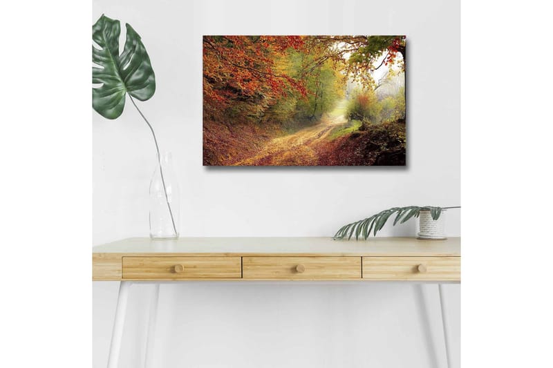 Lerretsbilde med LED-belysning - Vakker skogsti omgitt av høstfarger, Rød / Grønn / Brun