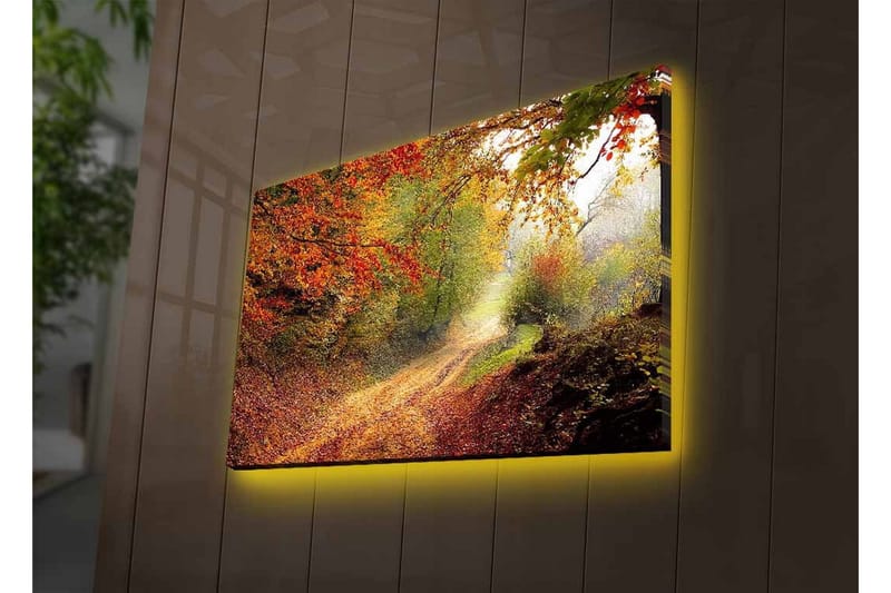 Lerretsbilde med LED-belysning - Vakker skogsti omgitt av høstfarger - Rød / Grønn / Brun - Innredning - Bilder & kunst - Lerretsbilder