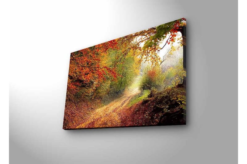 Lerretsbilde med LED-belysning - Vakker skogsti omgitt av høstfarger - Rød / Grønn / Brun - Innredning - Bilder & kunst - Lerretsbilder