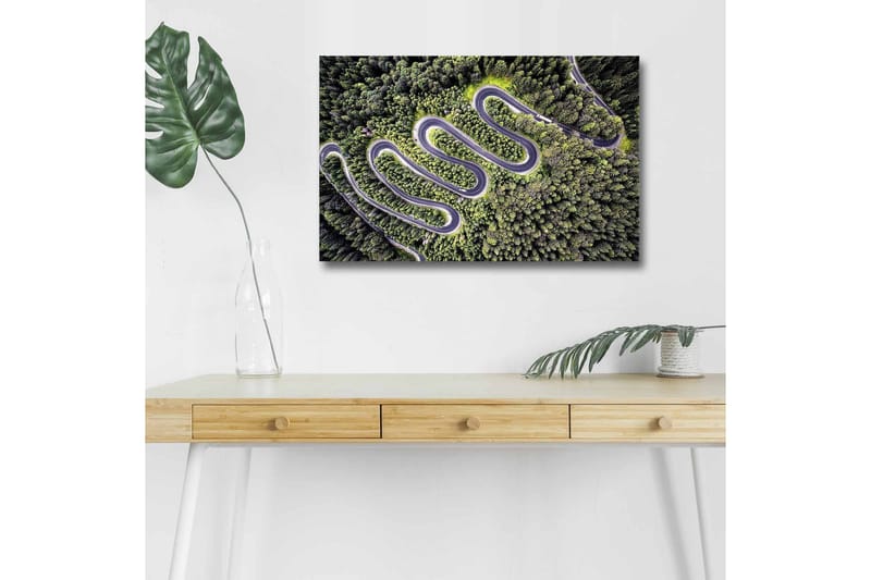 Lerretsbilde med LED-belysning - Vakker utsikt over en svingete vei gjennom tett, frodig skog - Grønn / Grå / Svart - Innredning - Bilder & kunst - Lerretsbilder