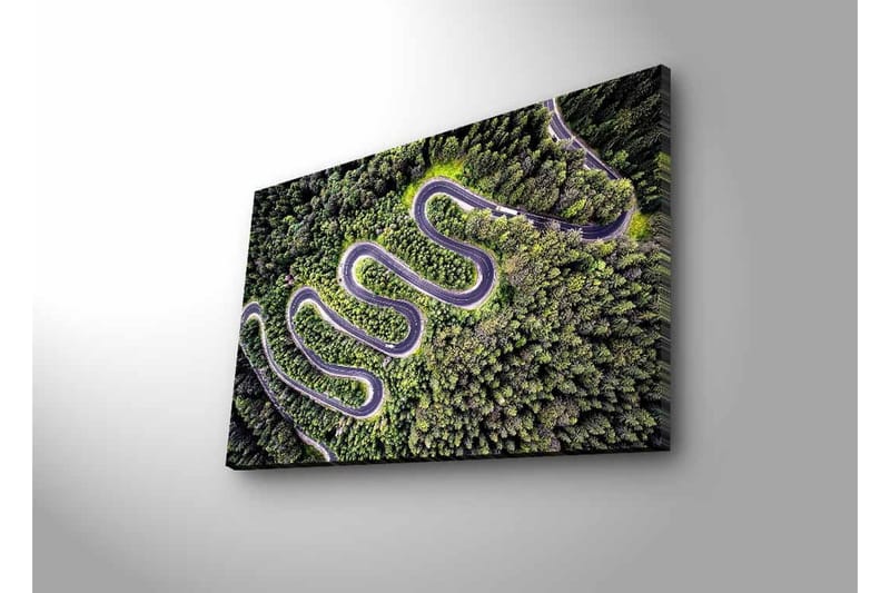 Lerretsbilde med LED-belysning - Vakker utsikt over en svingete vei gjennom tett, frodig skog - Grønn / Grå / Svart - Innredning - Bilder & kunst - Lerretsbilder