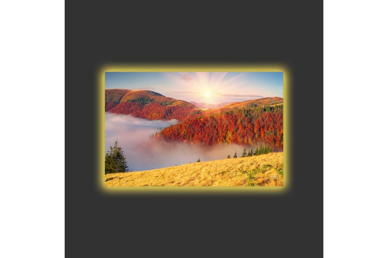 Lerretsbilde med LED-belysning - Vakkert høstlandskap med fargerike trær og soloppgang - Rød / Oransje / Gul - Innredning - Bilder & kunst - Lerretsbilder