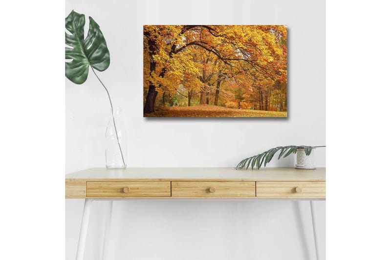 Lerretsbilde med LED-belysning - Vakkert høstlandskap med gylne og oransje løvtrær, Gull / Oransje / Brun