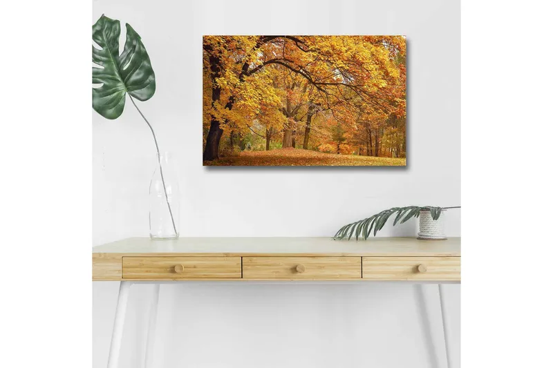 Lerretsbilde med LED-belysning - Vakkert høstlandskap med gylne og oransje løvtrær - Gull / Oransje / Brun - Innredning - Bilder & kunst - Lerretsbilder
