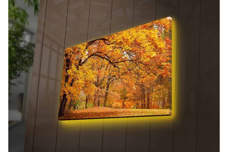 Lerretsbilde med LED-belysning - Vakkert høstlandskap med gylne og oransje løvtrær - Gull / Oransje / Brun - Innredning - Bilder & kunst - Lerretsbilder