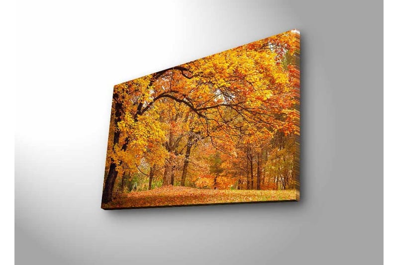 Lerretsbilde med LED-belysning - Vakkert høstlandskap med gylne og oransje løvtrær - Gull / Oransje / Brun - Innredning - Bilder & kunst - Lerretsbilder