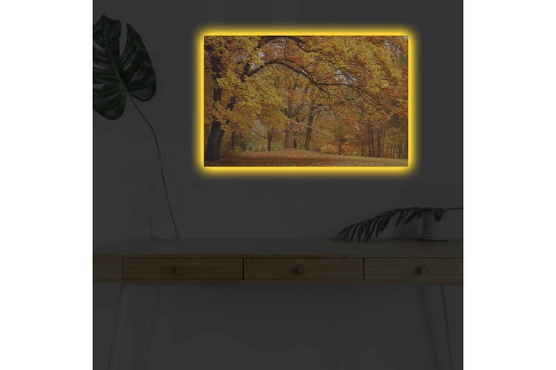 Lerretsbilde med LED-belysning - Vakkert høstlandskap med gylne og oransje løvtrær - Gull / Oransje / Brun - Innredning - Bilder & kunst - Lerretsbilder