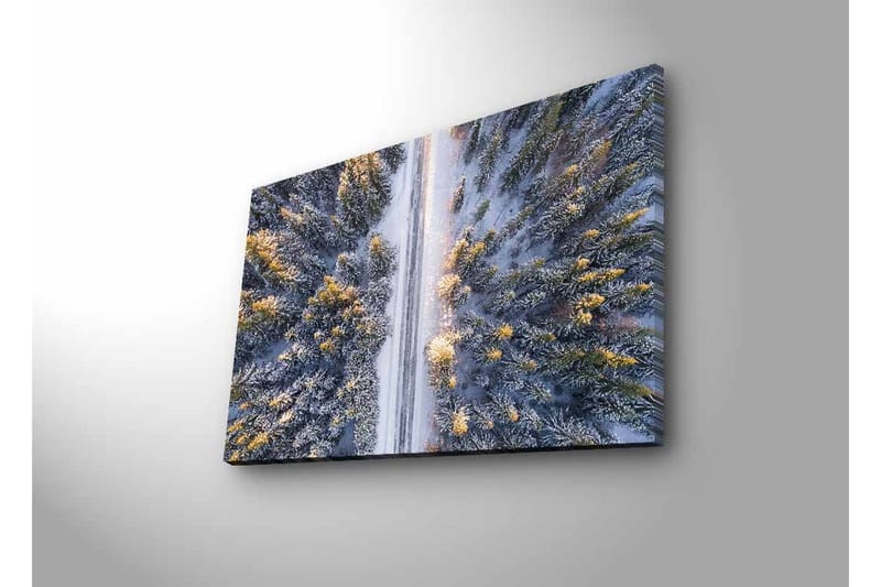 Lerretsbilde med LED-belysning - Vinterlandskap med snødekte trær og en vei som strekker seg gjennom skogen - Grå / Grønn / Gul - Innredning - Bilder & kunst - Lerretsbilder