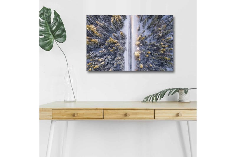 Lerretsbilde med LED-belysning - Vinterlandskap med snødekte trær og en vei som strekker seg gjennom skogen - Grå / Grønn / Gul - Innredning - Bilder & kunst - Lerretsbilder