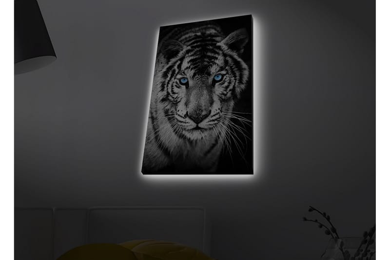 Lerretsbilde med LED-belysning - Portrett av en hvit tiger med blå øyne - Svart / Hvit / Blå - Innredning - Bilder & kunst - Lerretsbilder