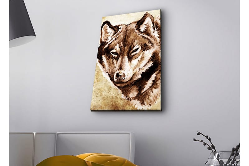 Lerretsbilde med LED-belysning - Portrett av en ulv med fokusert blikk - Brun / Beige - Innredning - Bilder & kunst - Lerretsbilder