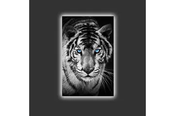 Lerretsbilde med LED-belysning - Portrett av en hvit tiger med blå øyne - Svart / Hvit / Blå - Innredning - Bilder & kunst - Lerretsbilder