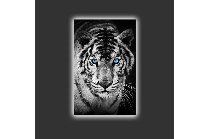 Lerretsbilde med LED-belysning - Portrett av en hvit tiger med blå øyne - Svart / Hvit / Blå - Innredning - Bilder & kunst - Lerretsbilder