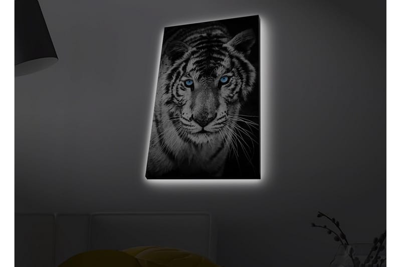 Lerretsbilde med LED-belysning - Portrett av en hvit tiger med blå øyne - Svart / Hvit / Blå - Innredning - Bilder & kunst - Lerretsbilder