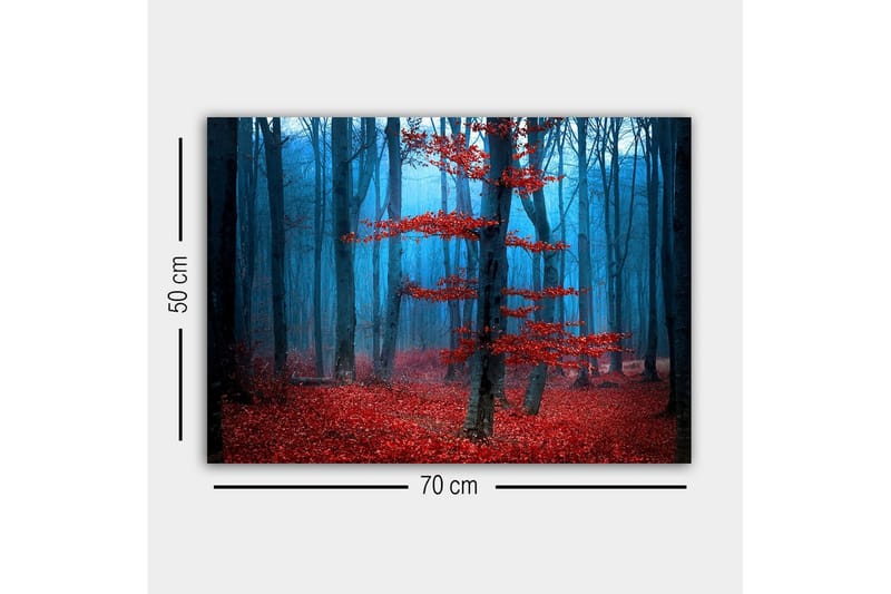 Lerretsbilde - Mystisk skog med røde trær i tåke - Rød / Blå / Grå - Innredning - Bilder & kunst - Lerretsbilder