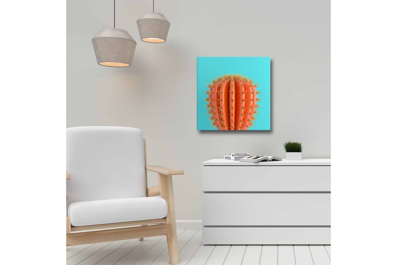 Lerretsbilde - Oransje kaktus med torner mot en turkis bakgrunn - Oransje / Turkis - Innredning - Bilder & kunst - Lerretsbilder