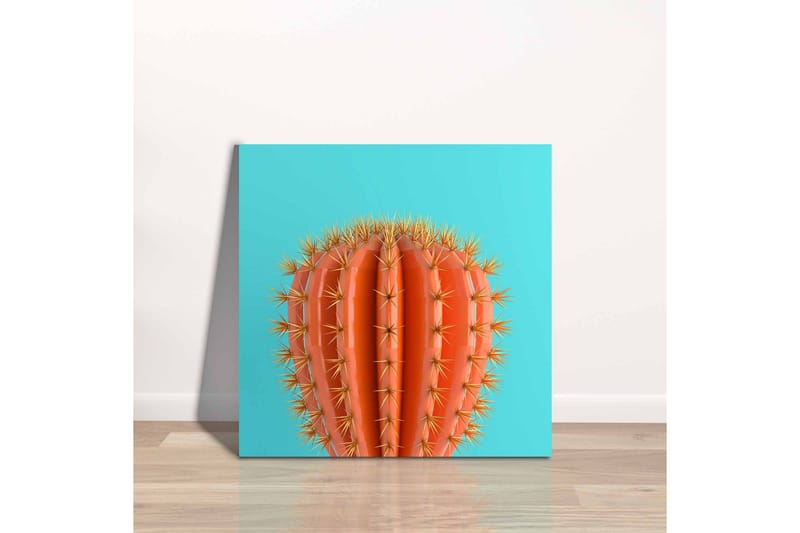 Lerretsbilde - Oransje kaktus med torner mot en turkis bakgrunn - Oransje / Turkis - Innredning - Bilder & kunst - Lerretsbilder